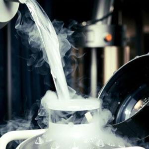 Fornitura azoto liquido dewar spot